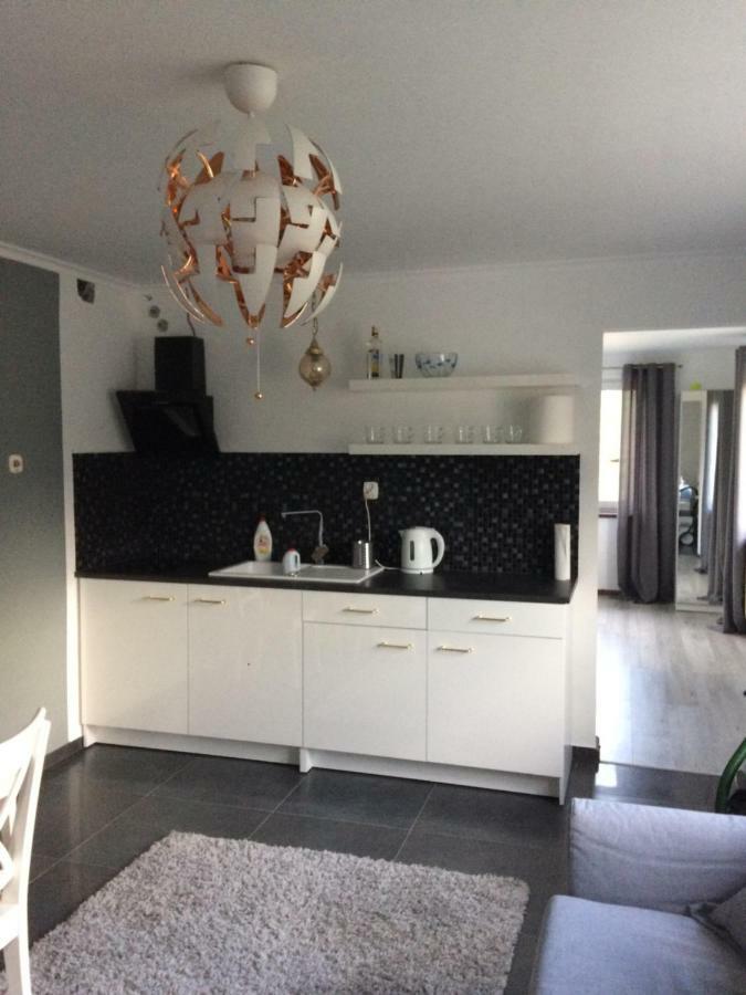 Apartamenty I Pokoje U Staszelow Поронин Экстерьер фото